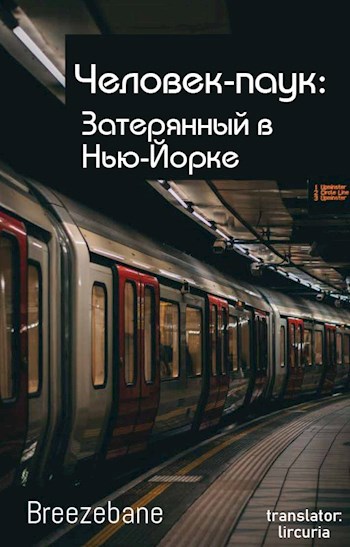 Обложка книги Человек-паук: Затерянный в Нью-Йорке