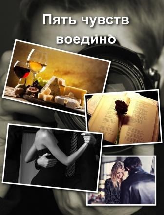 Обложка книги Пять чувств воедино