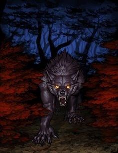 Обложка книги Щенки Авроры
