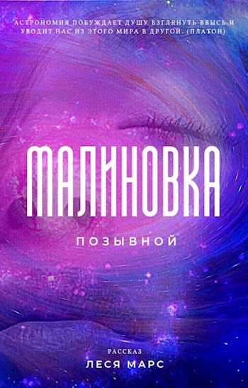 Обложка книги Позывной "Малиновка"
