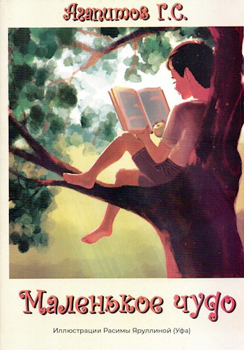 Обложка книги Маленькое чудо