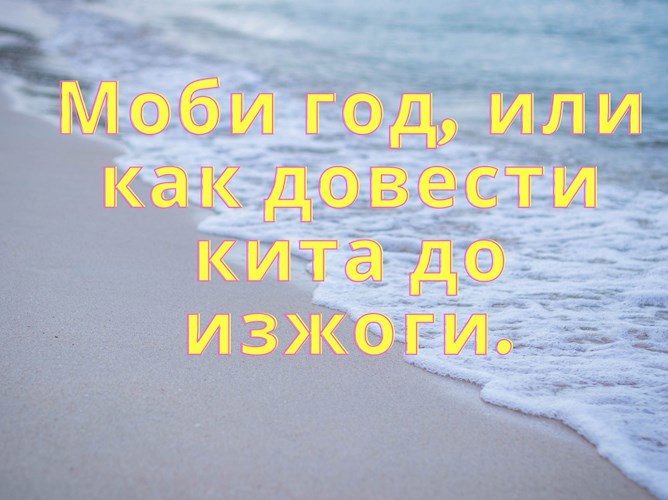 Обложка книги Моби год, или как довести кита до изжоги.