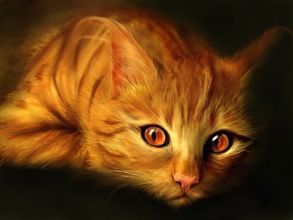 Обложка книги Кошки- мышки..