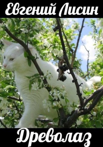 Обложка книги Древолаз
