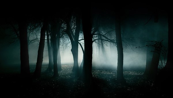Обложка книги Кто я?