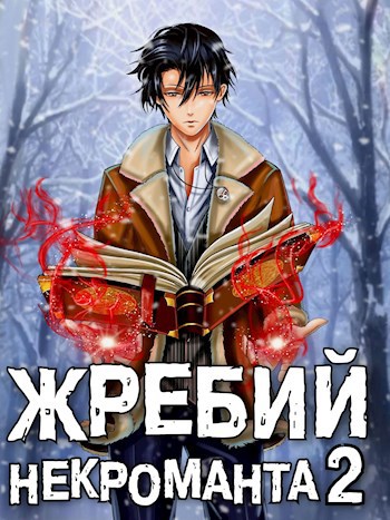 Обложка книги Жребий некроманта 2