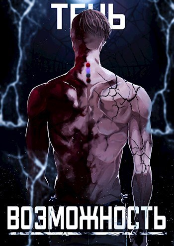 Обложка книги Тень. Возможность
