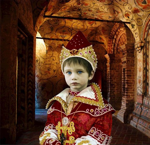 Обложка книги Наследник