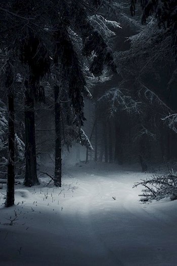 Обложка книги Песнь жизни