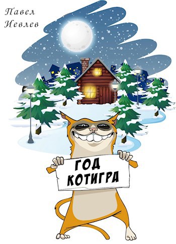 Обложка книги ГОД КОТИГРА