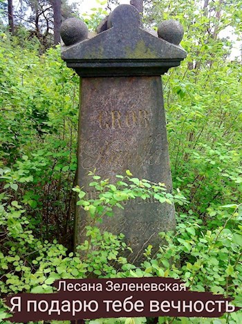 Обложка книги Я подарю тебе вечность