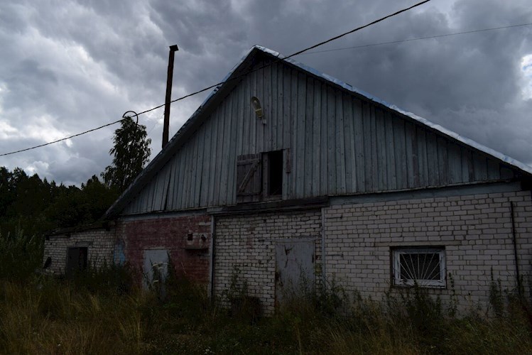 Обложка книги Пятизвёздочный свинарник