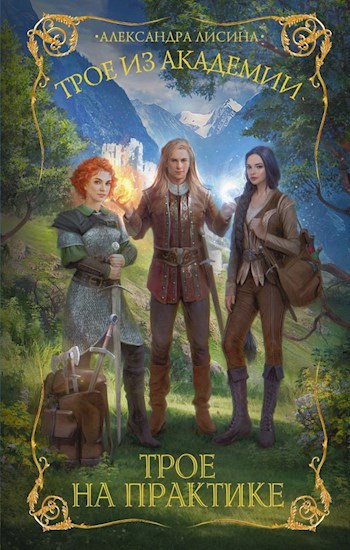Обложка книги Трое на практике