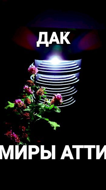 Обложка книги Миры Атти