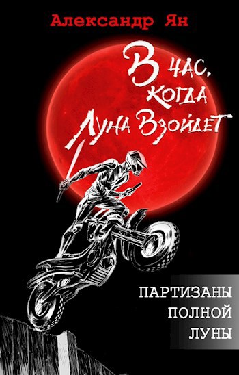 Обложка книги Партизаны полной Луны