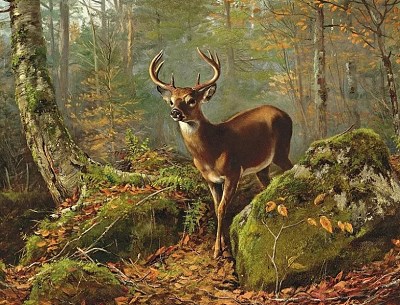 Обложка книги Эксперимент