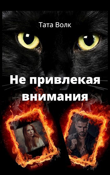 Обложка книги Не привлекая внимания
