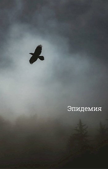 Обложка книги Эпидемия