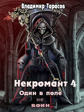 Обложка книги Некромант. Жизнь после Смерти. Книга 4
