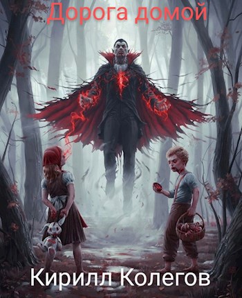 Обложка книги Дорога домой