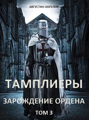 Обложка книги Тамплиеры: зарождение ордена. Том 3.