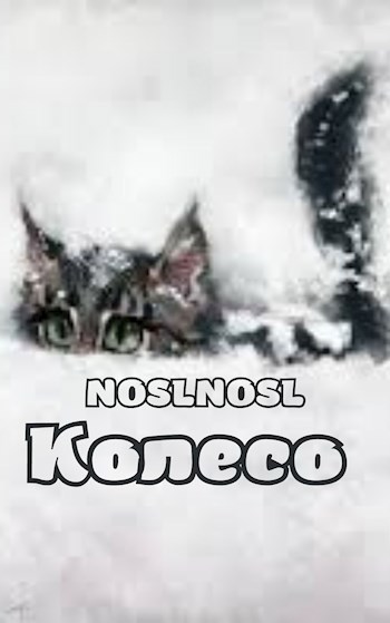 Обложка книги Колесо