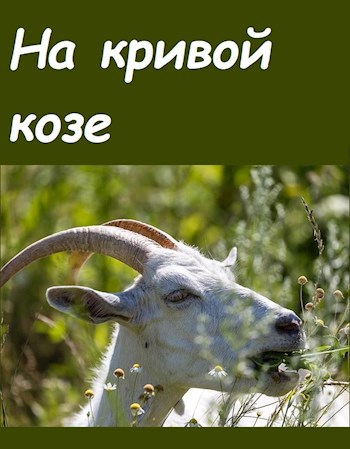 Обложка книги На кривой козе