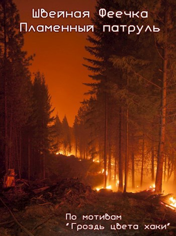 Обложка книги Пламенный патруль