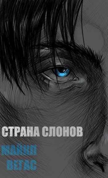 Обложка книги Страна слонов