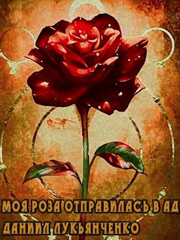 Обложка книги Моя роза отправилась в ад