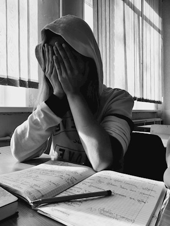 Обложка книги Записки брошенной