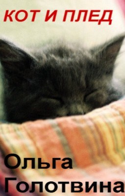 Обложка книги Кот и плед