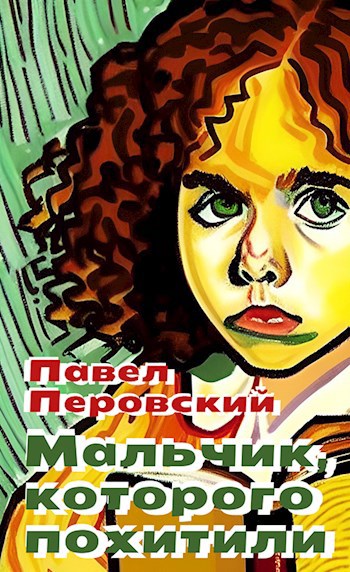 Обложка книги Мальчик, которого похитили