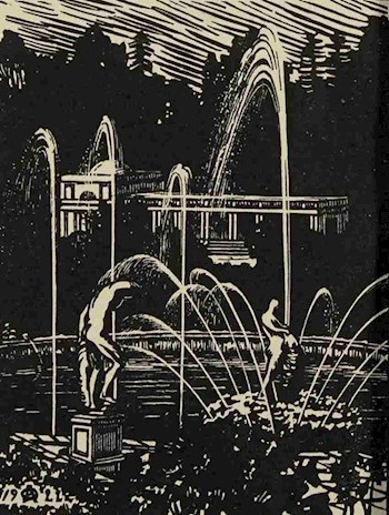 Обложка книги Чёрный Фонтан