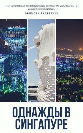 Обложка книги Однажды в Сингапуре