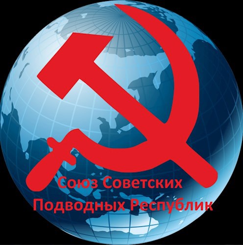 Обложка книги Дело было в ССПР