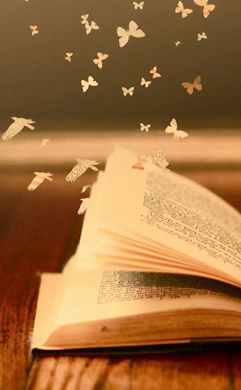 Обложка книги Сборник отзывов