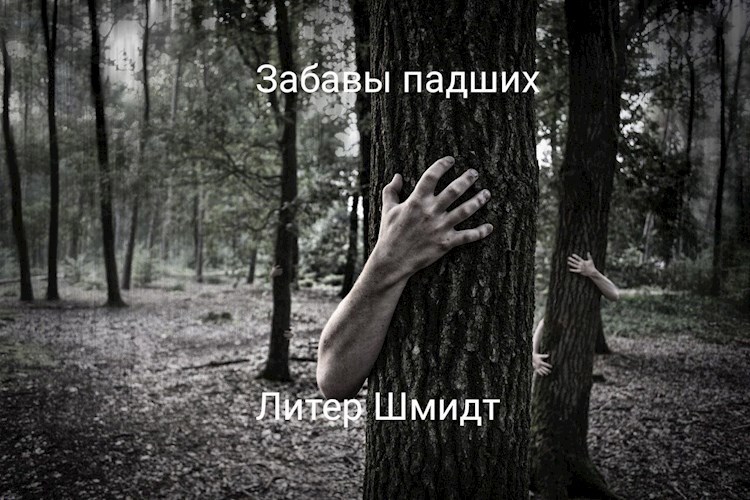 Обложка книги Забавы падших