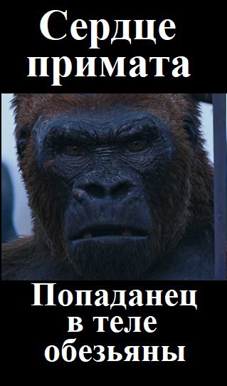 Обложка книги Сердце примата