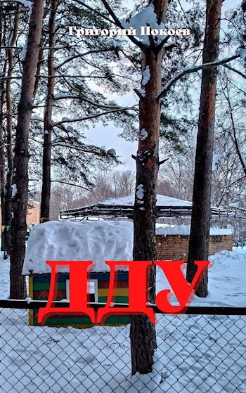 Обложка книги ДДУ