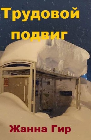 Обложка книги Трудовой подвиг
