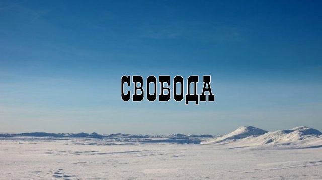 Обложка книги Свобода