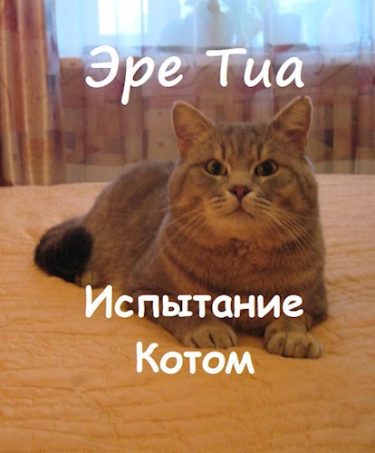 Обложка книги Испытание Котом