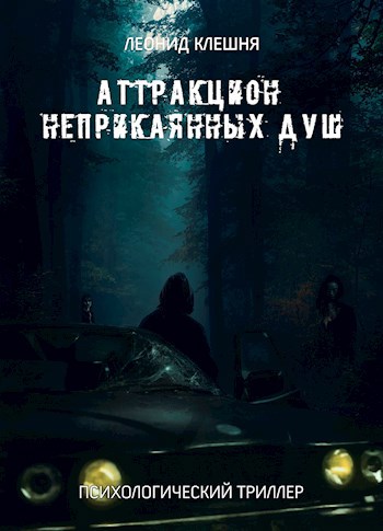 Обложка книги Аттракцион неприкаянных душ