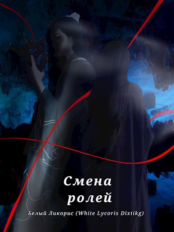 Обложка книги Смена ролей