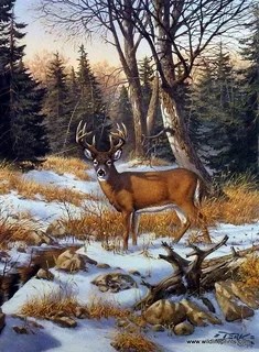 Обложка книги Охота