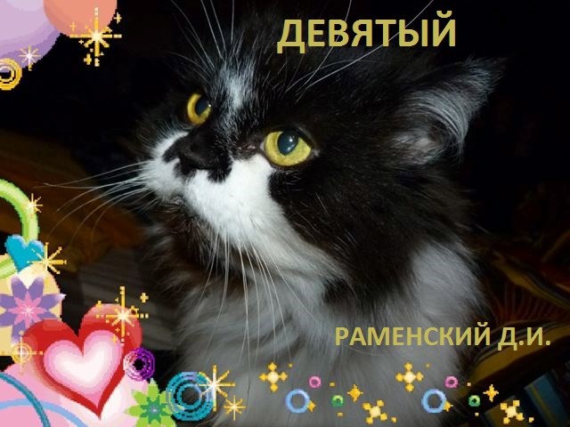 Обложка книги Девятый