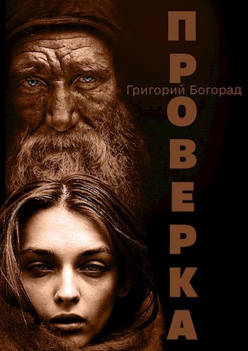 Обложка книги Проверка