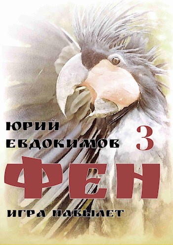 Обложка книги Фен 3