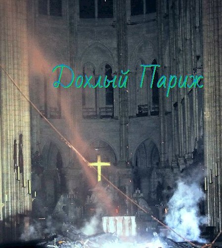 Обложка книги Дохлый Париж